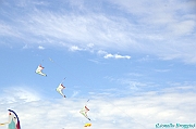 RIMINI 2012 - 273